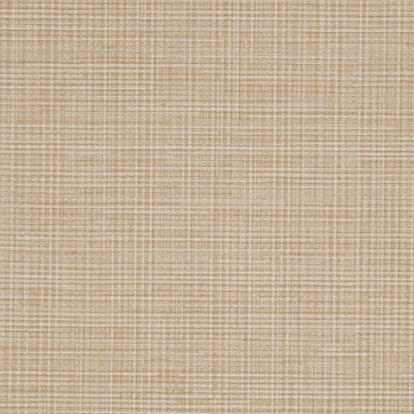 Brussels Pave Sparkling Ale Wallcovering | Phillipe Romano