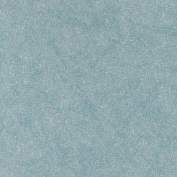 Brussels Reflection Narcissus' Pool Wallcovering | Phillipe Romano