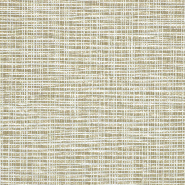 Brussels Sass-A-Grass Lemon Grass Wallcovering | Phillipe Romano