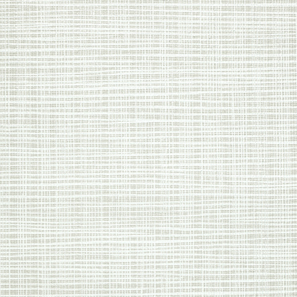 Brussels Sass-A-Grass Birchwood Wallcovering | Phillipe Romano