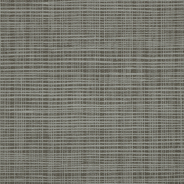 Brussels Sass-A-Grass Earl Grey Wallcovering | Phillipe Romano