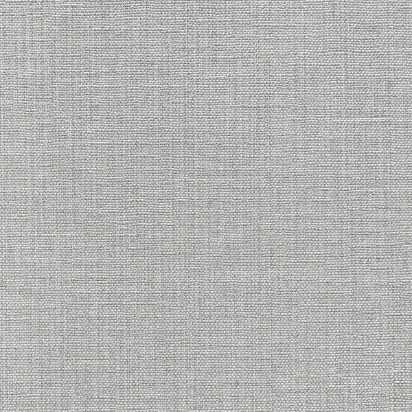 Brussels Panache Polished Tin Wallcovering | Phillipe Romano
