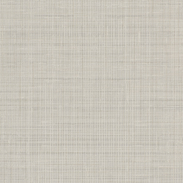 Brussels Fresh Mesh Classic Grey Wallcovering | Phillipe Romano