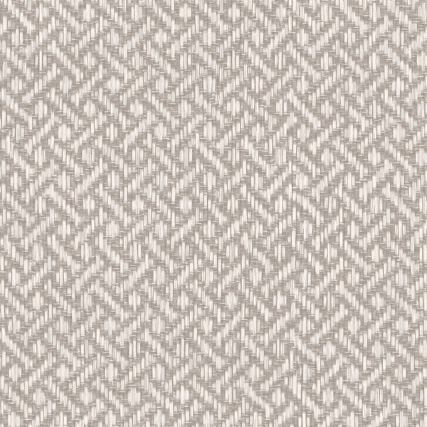 Brussels Rare Reed Misty Grey Wallcovering | Phillipe Romano