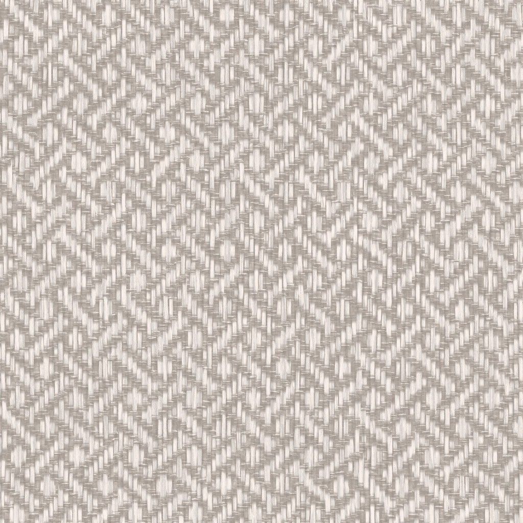 Brussels Rare Reed Misty Grey Wallcovering | Phillipe Romano