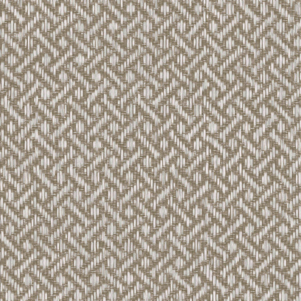 Brussels Rare Reed Grey Sedge Wallcovering | Phillipe Romano