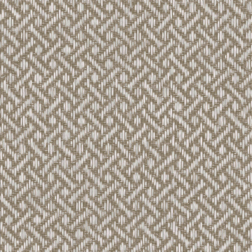 Brussels Rare Reed Grey Sedge Wallcovering | Phillipe Romano