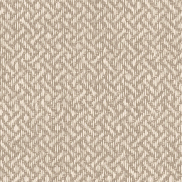 Brussels Rare Reed Sea Oat Wallcovering | Phillipe Romano