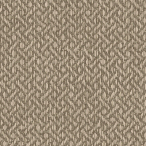 Brussels Rare Reed Tempting Taupe Wallcovering | Phillipe Romano