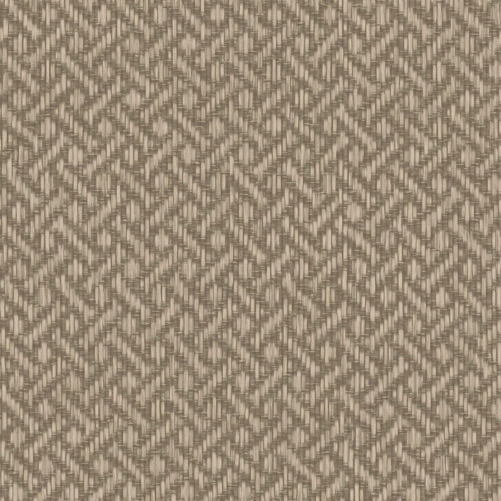 Brussels Rare Reed Tempting Taupe Wallcovering | Phillipe Romano