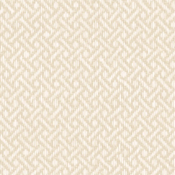 Brussels Rare Reed Coastal Cream Wallcovering | Phillipe Romano