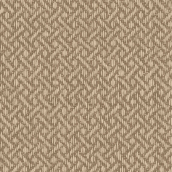 Brussels Rare Reed Classic Raffia Wallcovering | Phillipe Romano