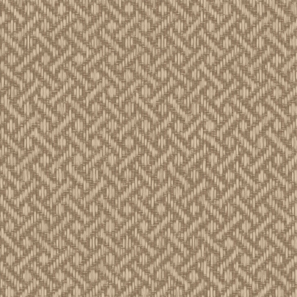 Brussels Rare Reed Classic Raffia Wallcovering | Phillipe Romano
