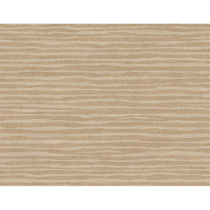 Terra Nova Wallpaper | Jeffrey Stevens