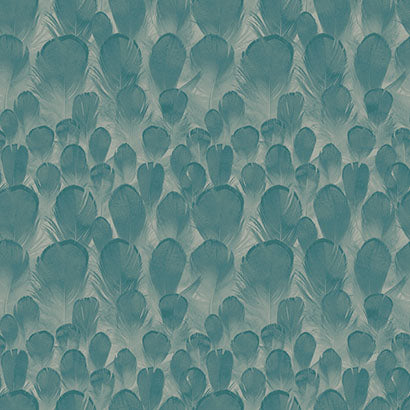 Feathers Wallpaper | Jeffrey Stevens