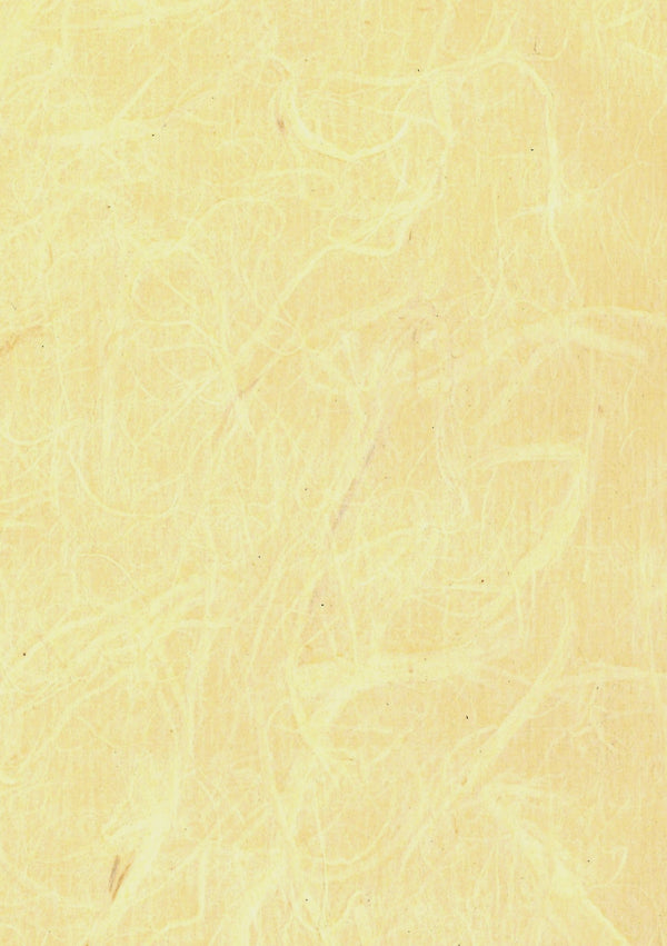 Grado Champagne | Fentucci Naturals