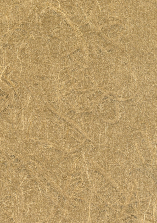 Grado Amber | Fentucci Naturals