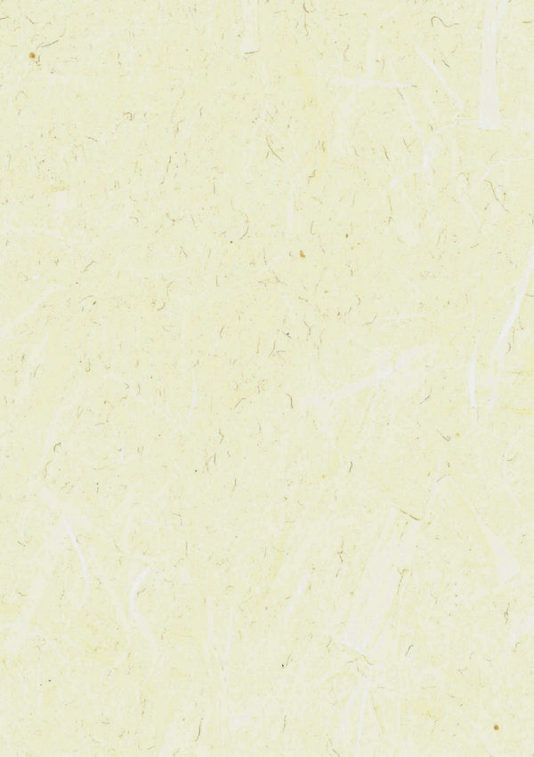 Caorle Champagne | Fentucci Naturals