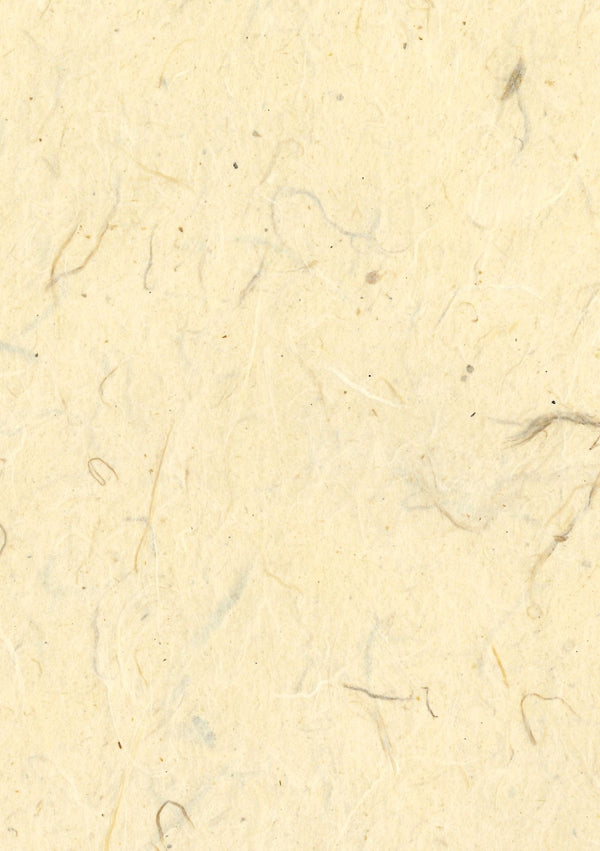 Orbetello Sand | Fentucci Naturals