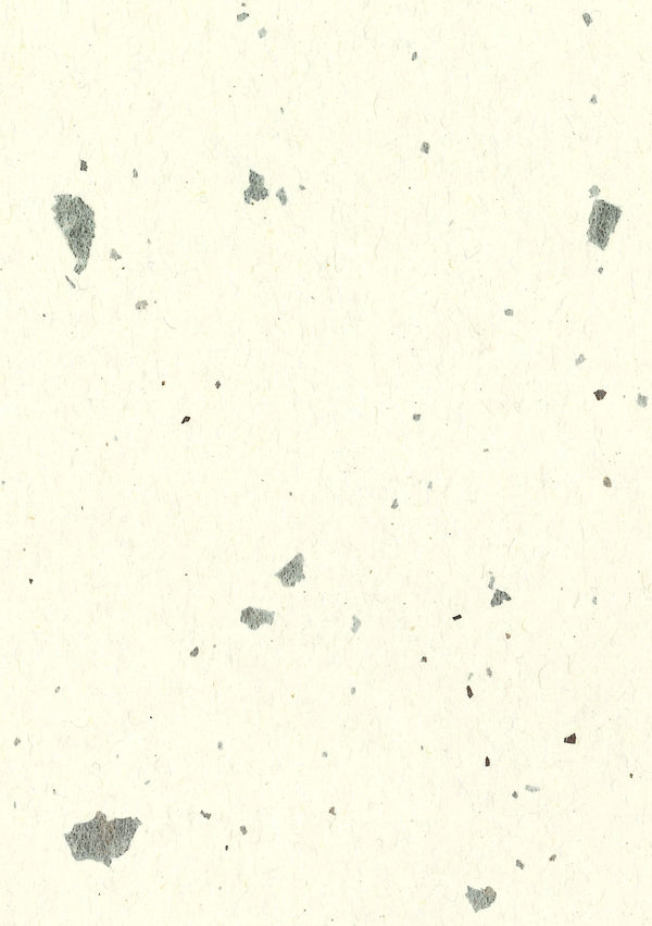 Cesenatico Champagne | Fentucci Naturals