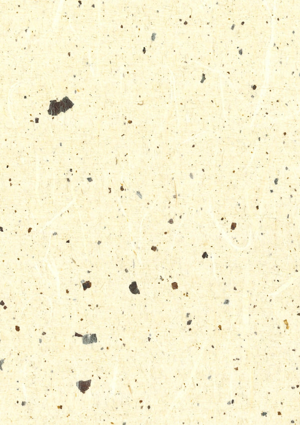 Cattolica Champagne | Fentucci Naturals