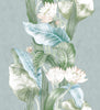 Riverine Aqua, Aqua