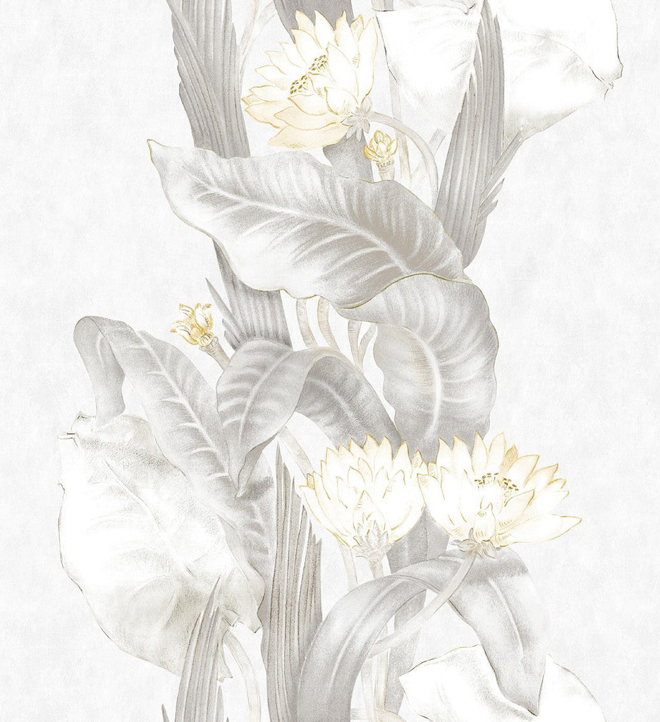 Riverine Plata, Plata