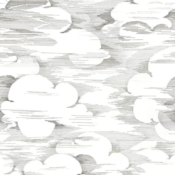 Ngai Blanco, Blanco Wallcoverings | Coordonné