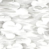 Ngai Blanco, Blanco