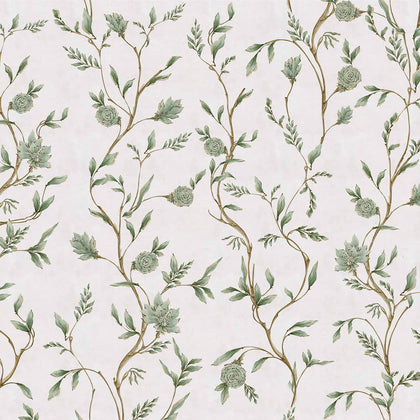 Hakikar Musgo | Coordone Europe