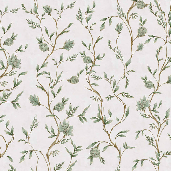 Hakikar Musgo | Coordone Europe