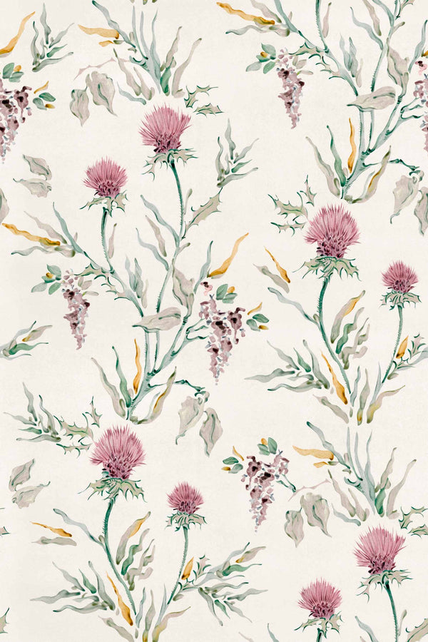 Silvestre Rosaceo | Coordone Europe