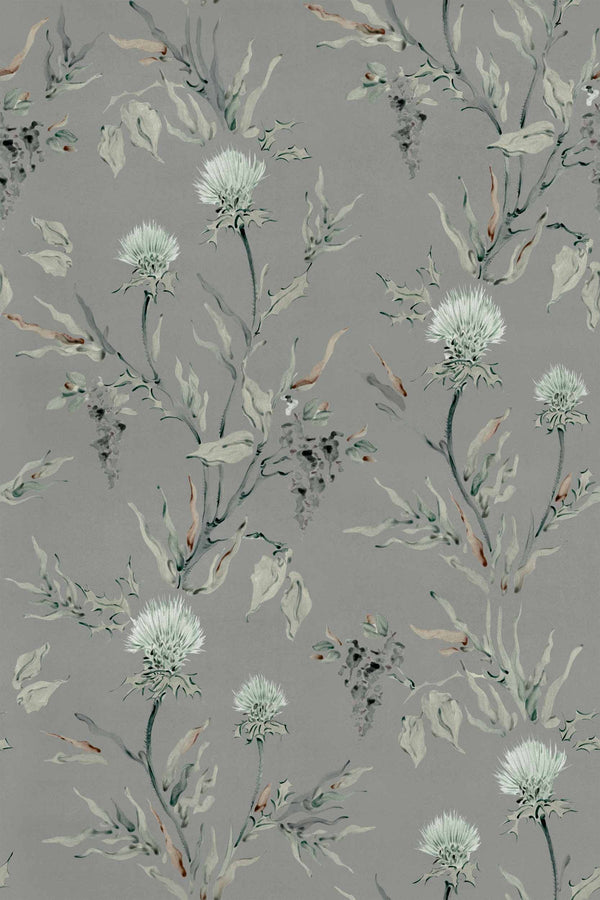 Silvestre Plata | Coordone Europe
