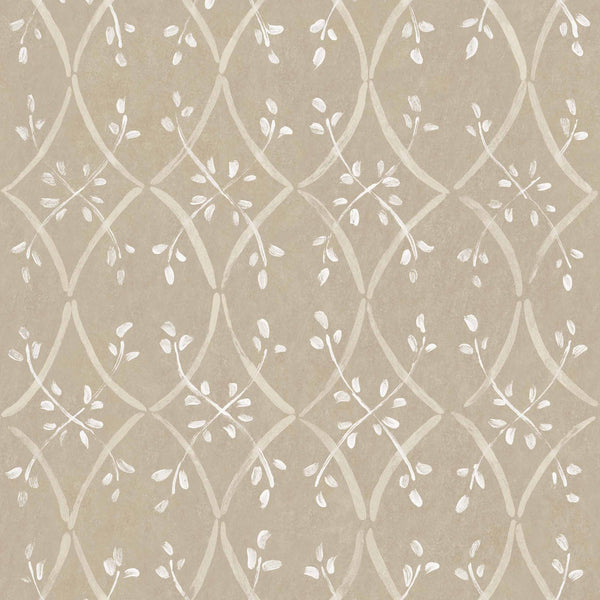 Forja Papiro | Coordone Europe