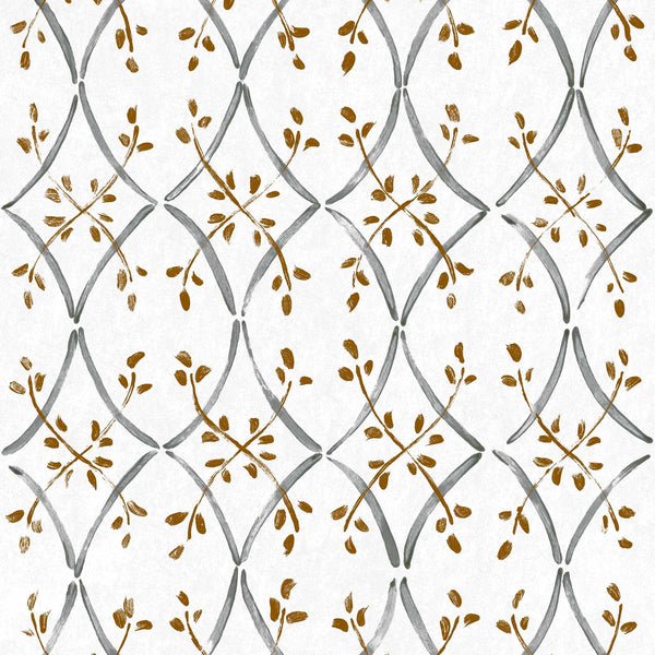 Forja Plata | Coordone Europe