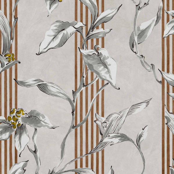 Trepadora Plata | Coordone Europe