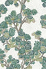 Field Maple Mint, Mint