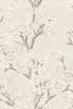 Field Maple Bone, Bone