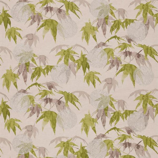 Acer Platinum/Leaf | Zoffany