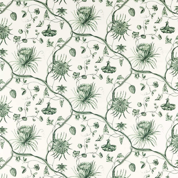 Phaedra Toile Huntsmans Green | Zoffany
