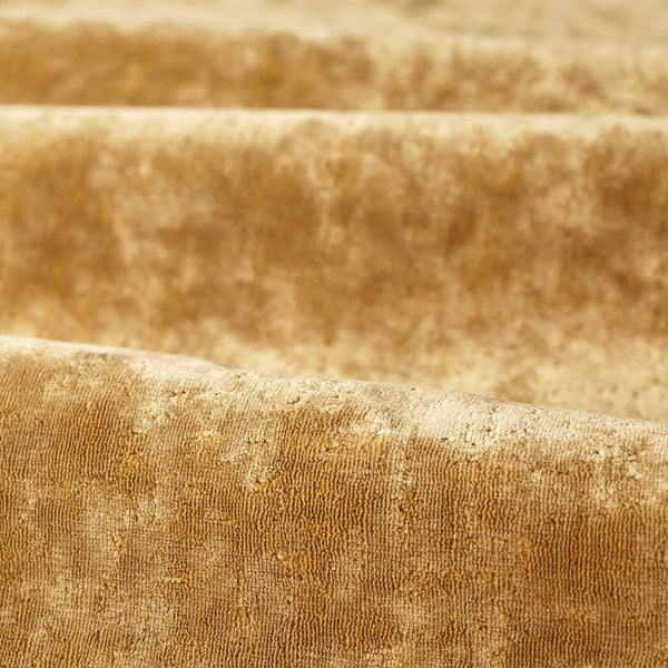 Curzon Old Gold | Zoffany