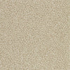 SDG-FLAT-SWATCH
