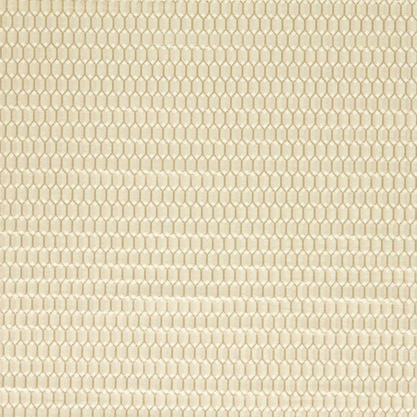 Domino Trellis Paris Grey | Zoffany