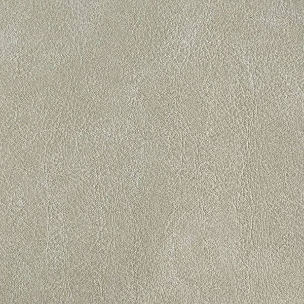 Zion | Innovations USA