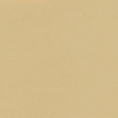 Dune Road - Sand Vegan Leather | Phillipe Romano