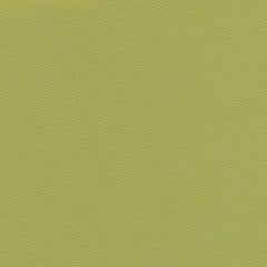 Dune Road - Chartreuse Vegan Leather | Phillipe Romano