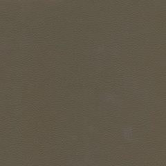 Dune Road - Driftwood Vegan Leather | Phillipe Romano