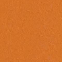 Dune Road - Fawn Vegan Leather | Phillipe Romano