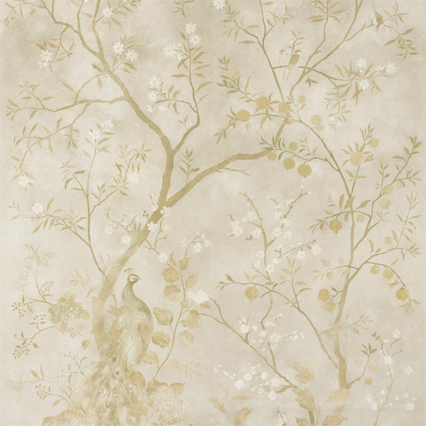 Rotherby - Old Gold wallcovering | Zoffany