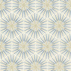 Spark 310993, Sapphire